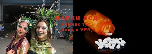 прущие грибы Осинники