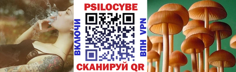 Псилоцибиновые грибы GOLDEN TEACHER  Павловск 
